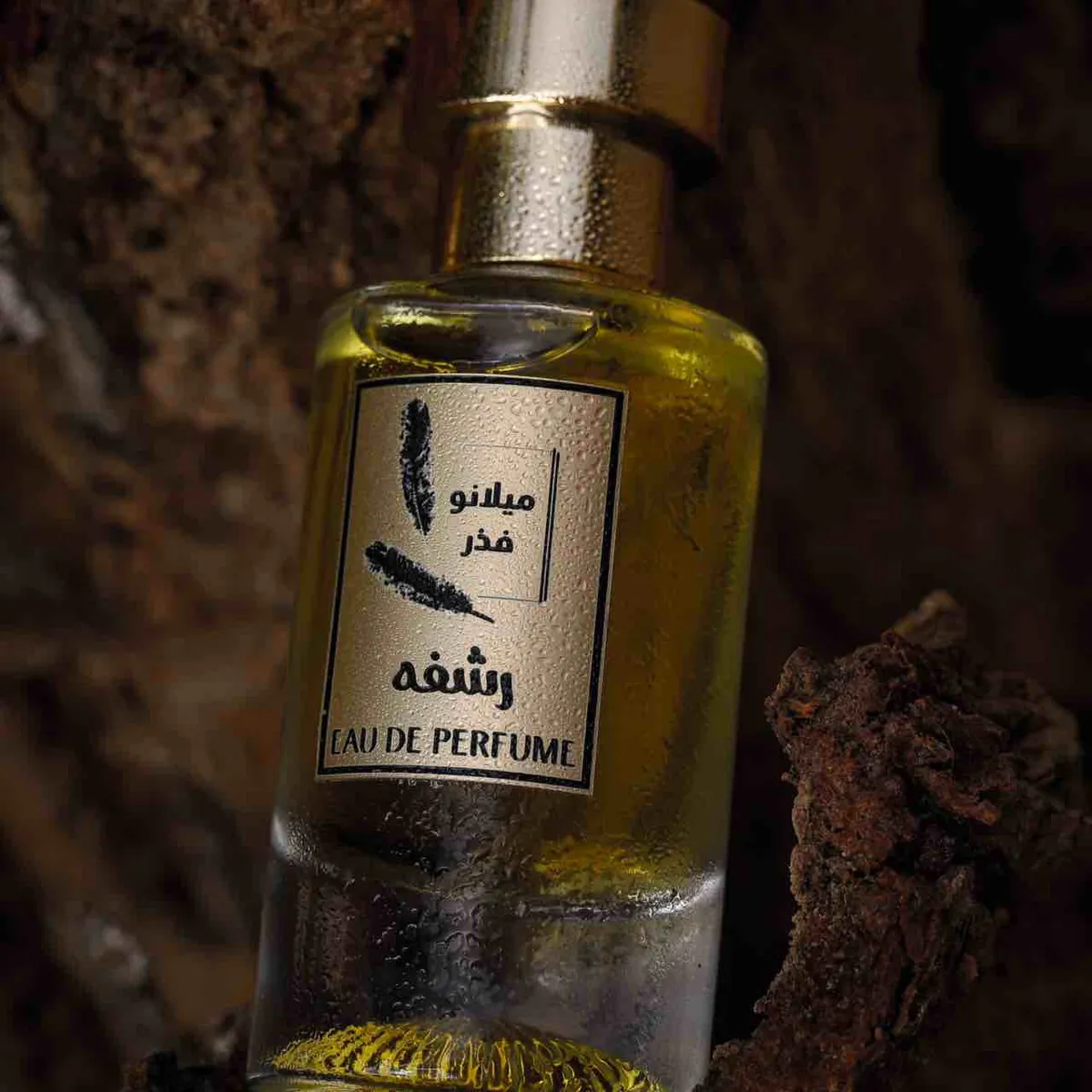 رشفه - صورة 1