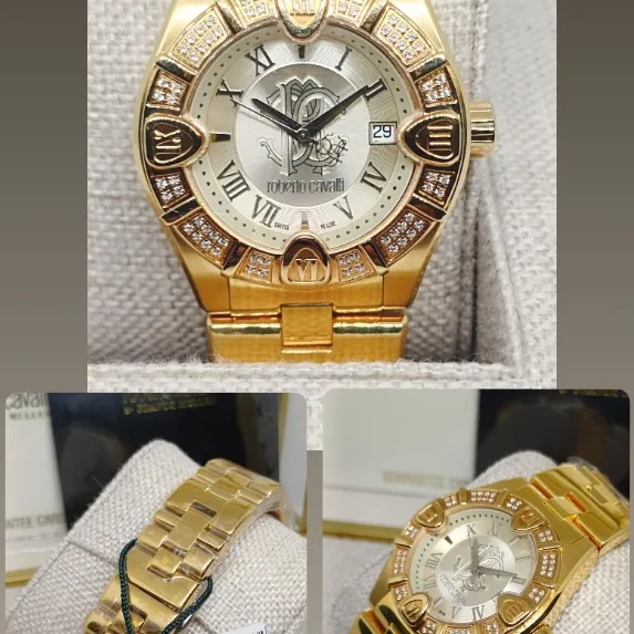 ساعة ريبيرتو كافالي - صورة 1