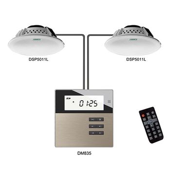 Smart Home on Wall Music Amplifier DSPPA DM835